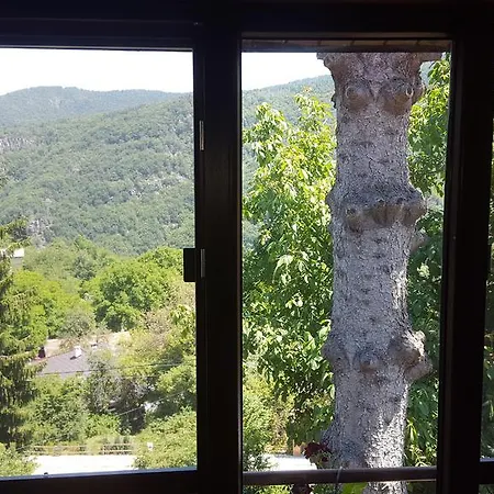 Pisanata House *