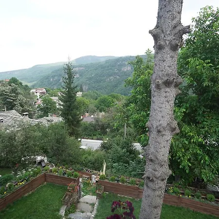 Pisanata House * Dedovo